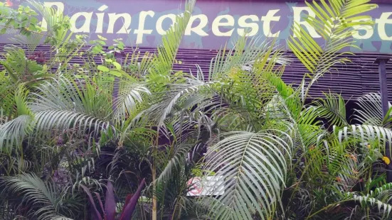 Rainforest Resto Bar