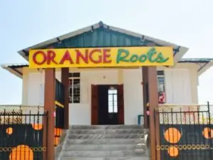 Orange Roots, Pure Veg Restaurant