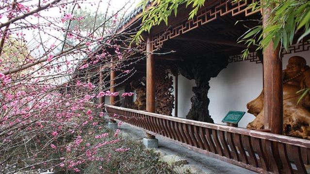 Zuigentan Scenic Area