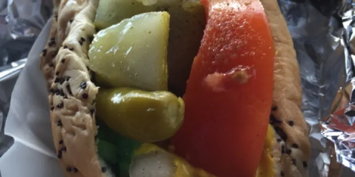 The Original ScoopDog