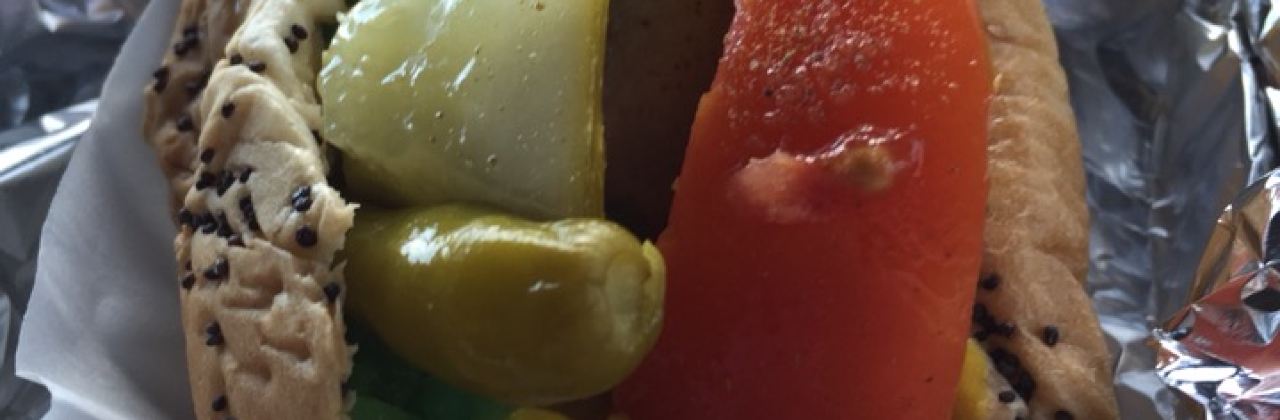 The Original ScoopDog