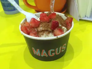Magus
