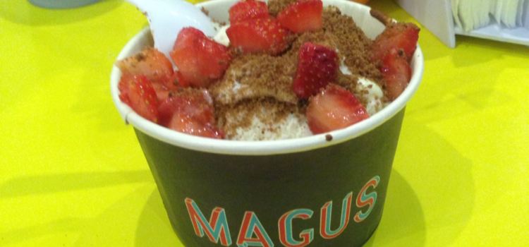 Magus