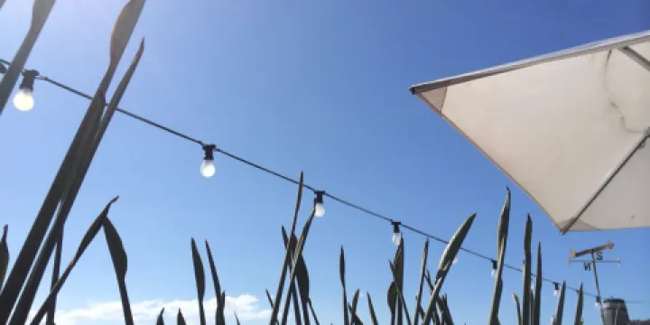 The Boathouse Palm Beach