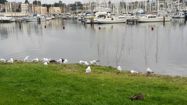 Wrest Point