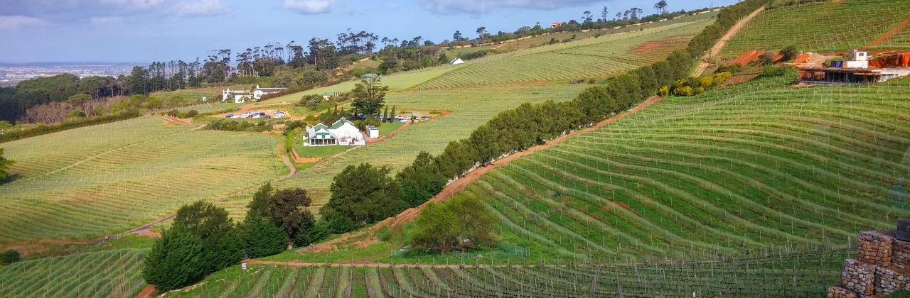 Chefs Warehouse Beau Constantia