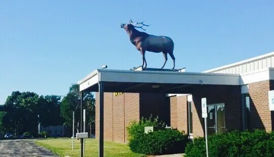 Waukesha Elks Lodge #400