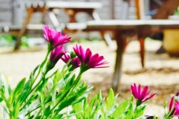 Georgie's Coffee House and Wine Bar