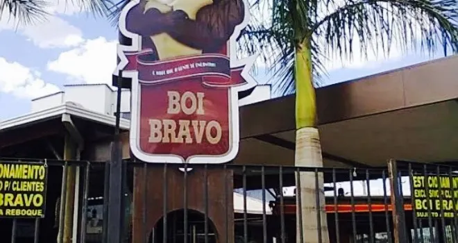 Boi Bravo