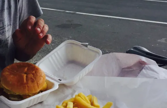 Opononi Beach Takeaways