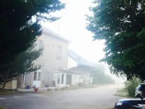 La Gare aux anes