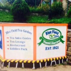 BlueField Tea Restaurant User Photo