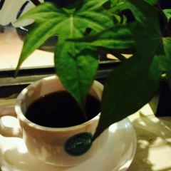 汇景希尔顿逸林酒店悦轩中餐厅 User Photo
