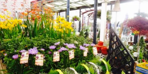 Fairley's Garden Centre