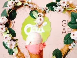 Oila Remeselna Zmrzlina