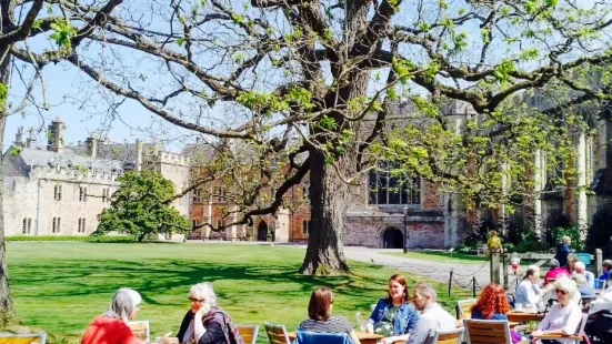 The Bishop's Table