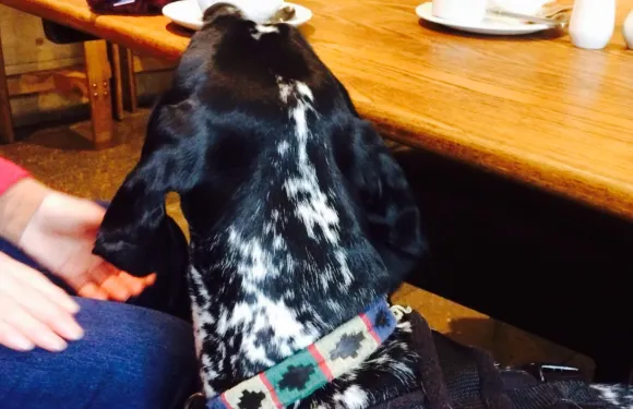 Cross Hotel Bar & Restaurant