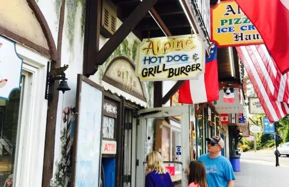 Alpine Hot Dog & Grill Burger