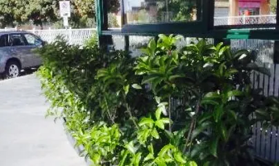 La Piadineria di Pippo