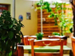 Zefki Greek Traditional Tavern