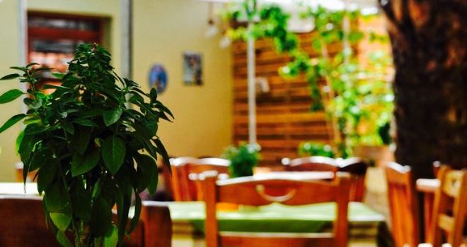 Greek Traditional Tavern To Zefki