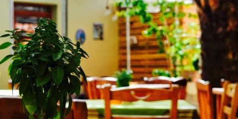 To Zefki Greek Traditional Tavern