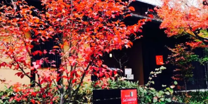 Osteria E Bar Selvatico