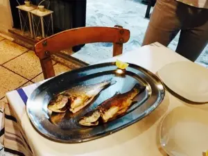 Vachus Taverna