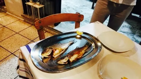 Vachus Taverna in 伊羅達