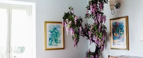 Ristorante Mamma Rosa