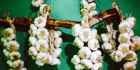 Mezza Pagnotta La Puglia Nel Panino