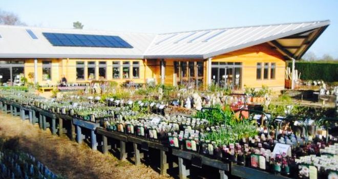 Sturmer Nurseries Garden Centre Tearoom