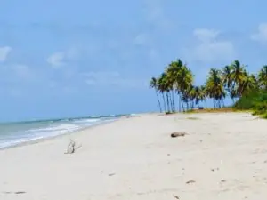 Peixada Do Geraldo