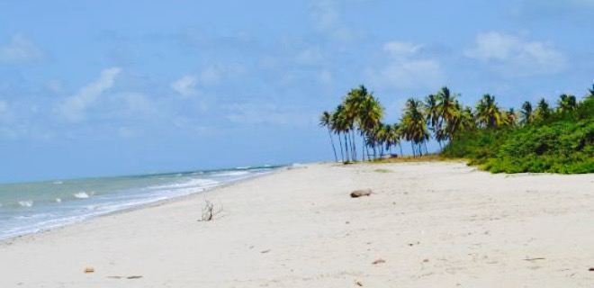 Peixada Do Geraldo
