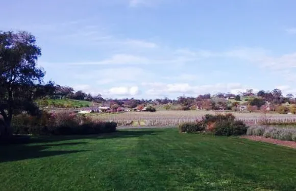 South Australian Company Store