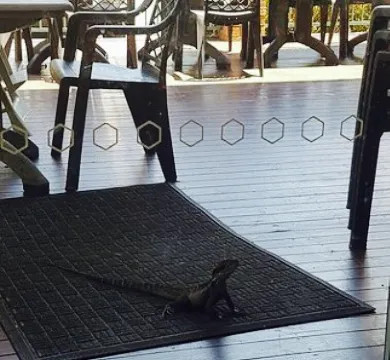 Chans Chinese Restaurant Myelstom