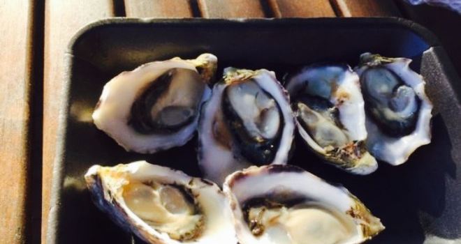 Lindsay’s Oysters and Fresh Seafood
