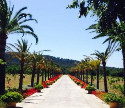 Restaurante Olivera