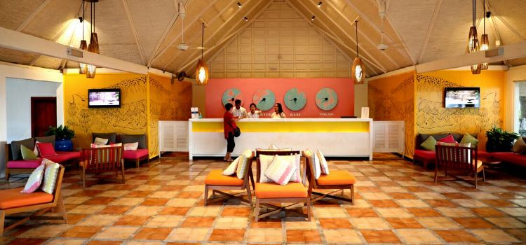 Coral Bar & Lounge