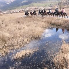 Lashihaichamagudao Grilled Fish User Photo