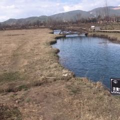 Lashihaichamagudao Grilled Fish User Photo