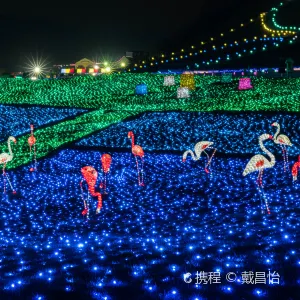 東京ドイツ村