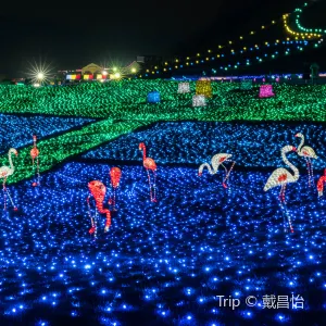 東京ドイツ村
