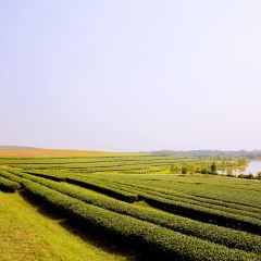 Phupirom 여행 사진