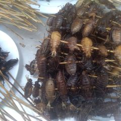 zi yang shao kao ảnh của người dùng