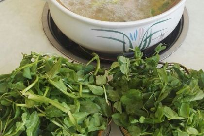 独菇一味