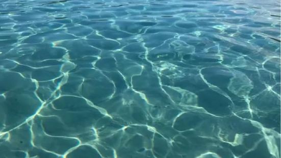マッケンジー湖の写真 フレーザー島の観光スポットの写真 Tripメモリー