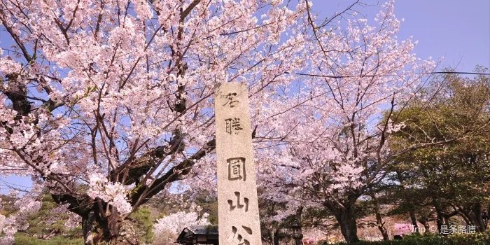 Maruyama Park image 0