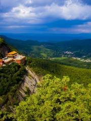 照金香山