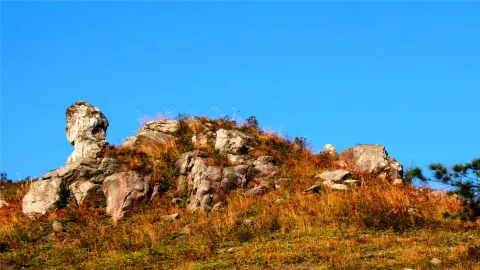九龍江國家森林公園 attraction in 郴州